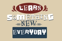 Pig Sty Die Font Duo Product Image 6
