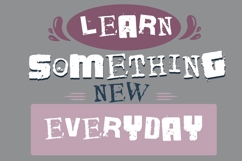 Pig Sty Font Family Product Image 6