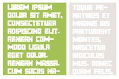 Pixelcraft Product Image 5