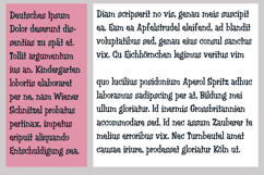 Plunger Font Family Product Image 3