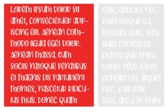 Pocketful of Patriotism Font Family Product Image 3