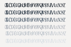 Pocketful of Patriotism Font Family Product Image 4