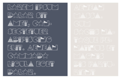 Pog Patriot Font Family Product Image 3