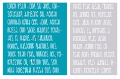 Policeman Font Family Product Image 3