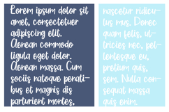 Populice Font Family Product Image 5