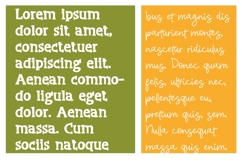 Pork City and Gilbert Font Duo Product Image 6