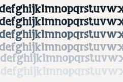 Pork City and Gilbert Font Duo Product Image 7