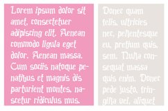 PN Princess Prance Product Image 4