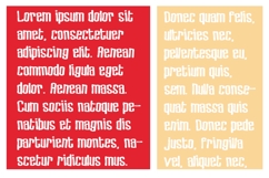 PN Pumpkin Eater Font Family Product Image 4