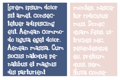 Right Side of the Law Product Image 6