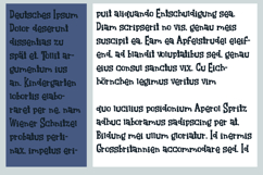 Right Side of the Law Product Image 3