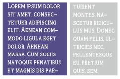 Rooster Product Image 5