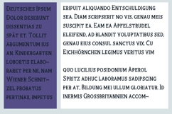 Rooster Product Image 2