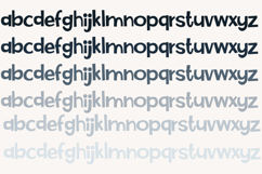 Saddler Product Image 4