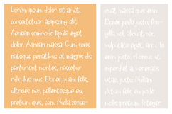 Simbirsk Font Family Product Image 3