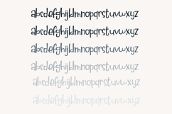 Simbirsk Font Family Product Image 4