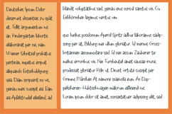 Simbirsk Font Family Product Image 6