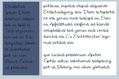 Snapshot Font Family Product Image 2
