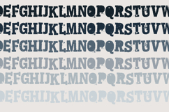 Spunky Product Image 4
