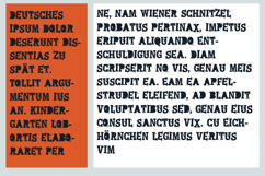 Spunky Product Image 6