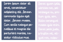 Starling Font Family Product Image 7