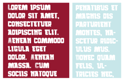 The Fourth Font Family Product Image 2