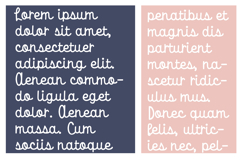 Tidiculous Font Family Product Image 4