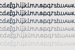 Tidiculous Font Family Product Image 5