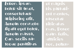 Toadface Product Image 4