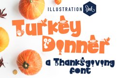 PN Turkey Dinner Product Image 1