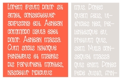 Unicycle Product Image 6