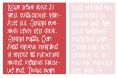 PN Valentine Gift Font Family Product Image 14