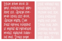 PN Valentine Gift Font Family Product Image 7