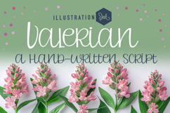 PN Valerian Valentine Font Family Product Image 3