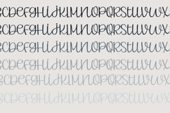 PN Valerian Valentine Font Family Product Image 12