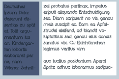 Visible Font Family Product Image 3