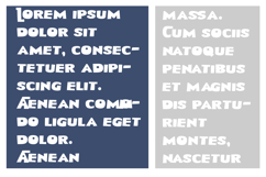 Waddle Font Family Product Image 5