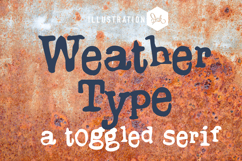 Ser-tainly Serif Font Bundle Product Image 14