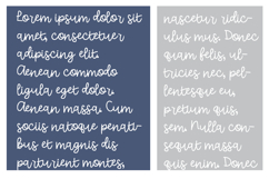 Whipple Font Family Product Image 6