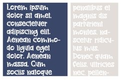 PN Wild Monster Serif Product Image 5