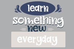 PN Wild Monster Serif Product Image 7