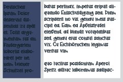 PN Wild Monster Serif Product Image 2