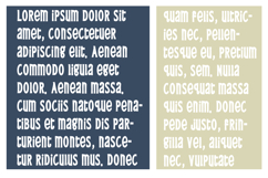 Willowbark Product Image 5