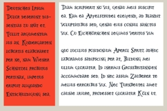 Wonderworld Font Family Product Image 4