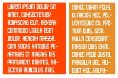 Xocolatl Product Image 5