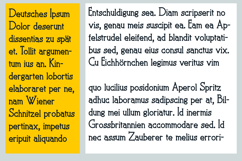 PN Yellow Fever Product Image 4