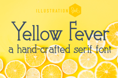 Ser-tainly Serif Font Bundle Product Image 15
