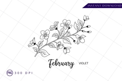February violet floral branch green background PNG Product Image 1