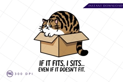 Cartoon cat in box sublimation png Product Image 1