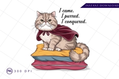 Funny cat cartoon wearing cape sublimation png Product Image 1